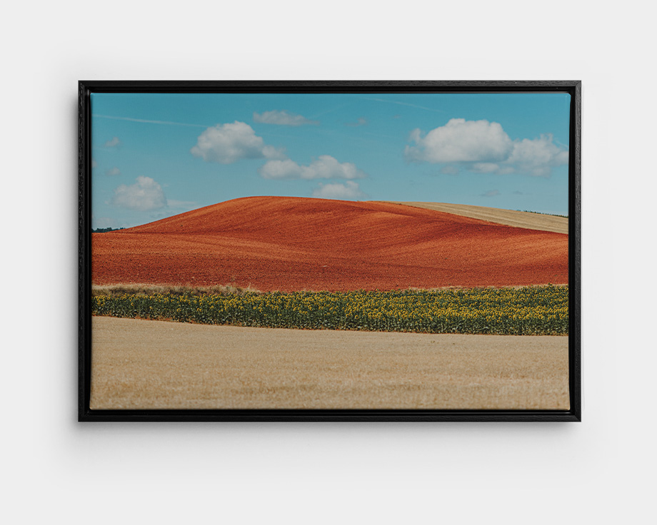 Eine gerahmte Leinwand mit einem sommerlichen Landschaftsfoto.