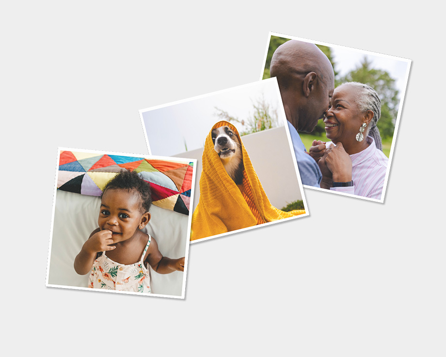 Drei Fotomagnete mit Fotos von Hund und Familie