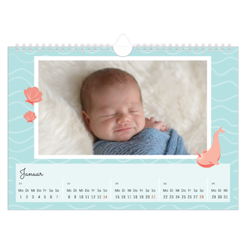 Fotokalender A4 — Süße Tiere