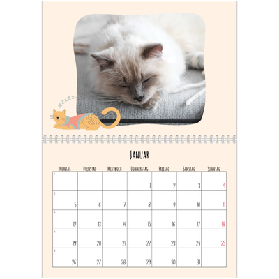 Fotokalender A4 doppelt (30 x 40 cm) — Katzenpfoten und Kritzeleien [Januar]
