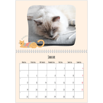 Fotokalender A4 doppelt — Katzenpfoten und Kritzeleien