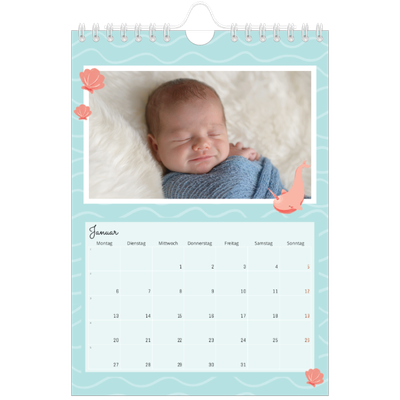 Fotokalender A5 — Süße Tiere [Januar]