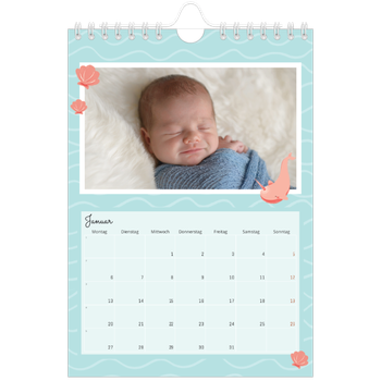 Fotokalender A5 — Süße Tiere