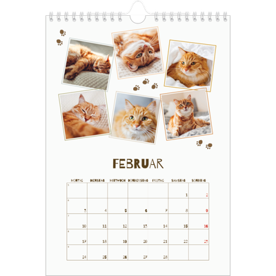 Fotokalender A4 (20 x 30 cm) — Verspieltes Kätzchen [Februar]