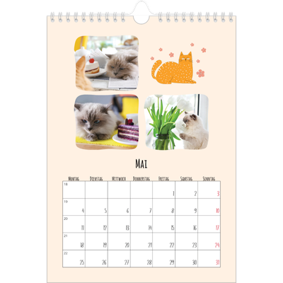 Fotokalender A4 (20 x 30 cm) — Katzenpfoten und Kritzeleien [deckblatt]