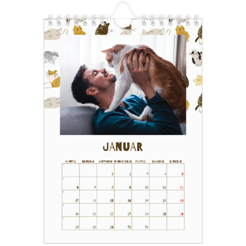 Fotokalender A5 — Verspieltes Kätzchen