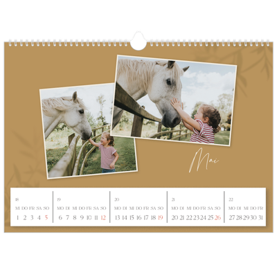 Fotokalender A3 — Warme Erdtöne [deckblatt]