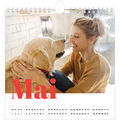 Jahreskalender Quadratisch — Kräftige Farben [deckblatt]