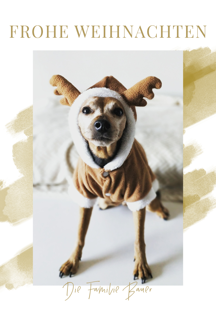 Fotokarten — Goldene Wasserfarben