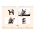 Fotokalender A4 — Katzenpfoten und Kritzeleien [Februar]
