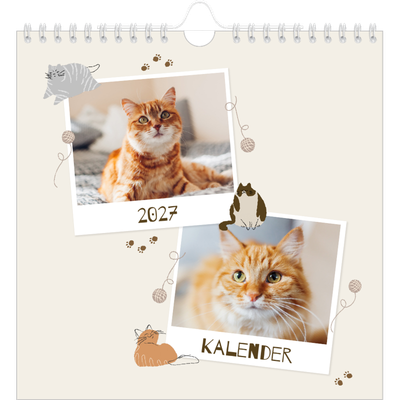 Jahreskalender Quadratisch — Verspieltes Kätzchen [deckblatt]