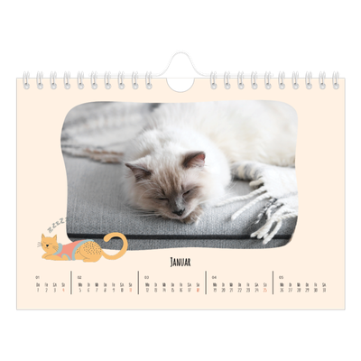 Fotokalender A5 — Katzenpfoten und Kritzeleien [Januar]