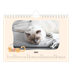 Fotokalender A5 — Katzenpfoten und Kritzeleien [Januar]