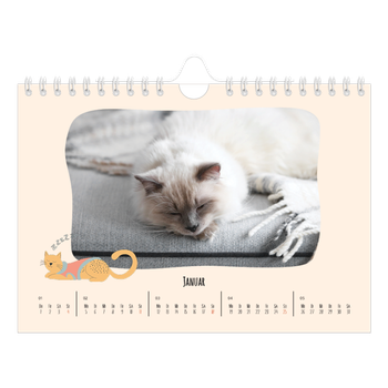 Fotokalender A5 — Katzenpfoten und Kritzeleien