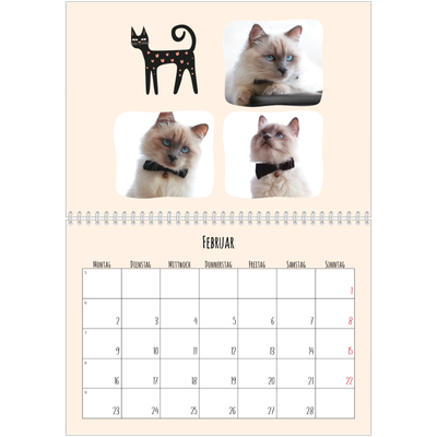 Fotokalender A4 doppelt (30 x 40 cm) — Katzenpfoten und Kritzeleien [Februar]
