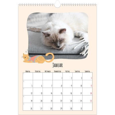 A3 Jahreskalender — Katzenpfoten und Kritzeleien [Januar]