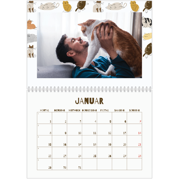 Fotokalender A4 doppelt — Verspieltes Kätzchen