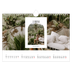 Fotokalender A4 — Der offene Bogen [Februar]