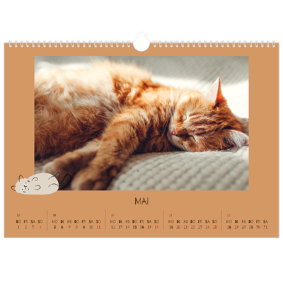 Fotokalender A3 — Verspieltes Kätzchen [deckblatt]