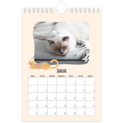 Fotokalender A5 — Katzenpfoten und Kritzeleien [Januar]
