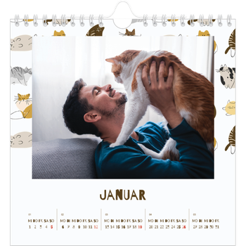 Fotokalender Quadratisch — Verspieltes Kätzchen