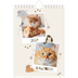 Fotokalender A5 — Verspieltes Kätzchen [deckblatt]