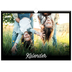 Fotokalender A3 — Schwarzes [deckblatt]
