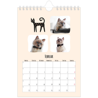 Fotokalender A5 — Katzenpfoten und Kritzeleien [Februar]