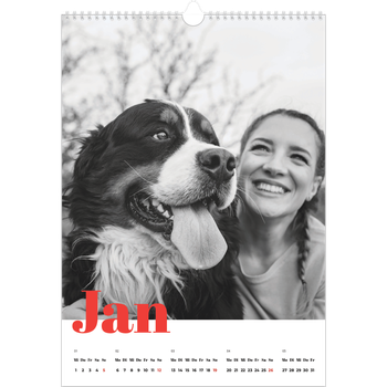 Fotokalender A3 — Kräftige Farben