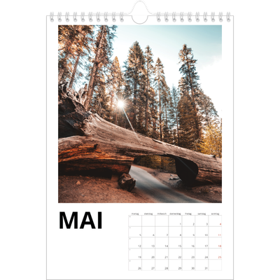 Fotokalender A4 (20 x 30 cm) — Datum groß [deckblatt]