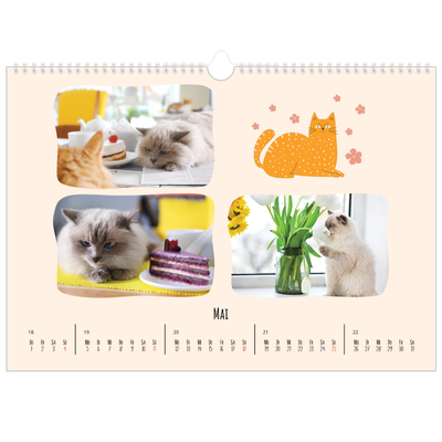 Fotokalender A3 — Katzenpfoten und Kritzeleien [deckblatt]