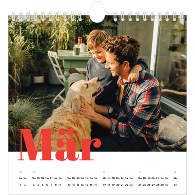 Jahreskalender Quadratisch — Kräftige Farben [Marsch]