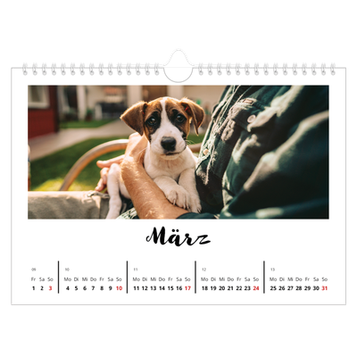 Fotokalender A4 — Handgeschrieben [Marsch]