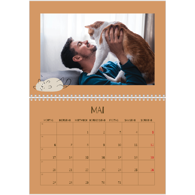 Fotokalender A4 doppelt (30 x 40 cm) — Verspieltes Kätzchen [deckblatt]