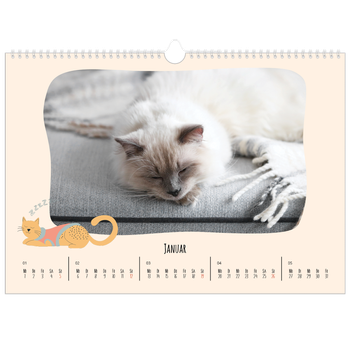 Fotokalender A3 — Katzenpfoten und Kritzeleien