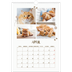 A3 Jahreskalender — Verspieltes Kätzchen [April]