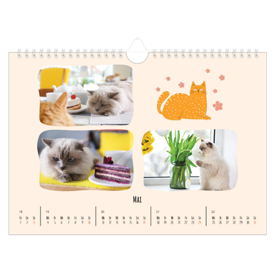 Fotokalender A4 — Katzenpfoten und Kritzeleien [deckblatt]