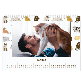 Fotokalender A4 — Verspieltes Kätzchen