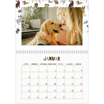 Fotokalender A4 doppelt — Verspielter Welpe