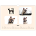Fotokalender A3 — Katzenpfoten und Kritzeleien [Februar]