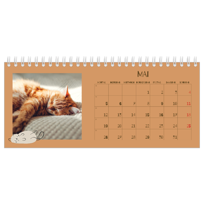 Tischkalender — Verspieltes Kätzchen [deckblatt]