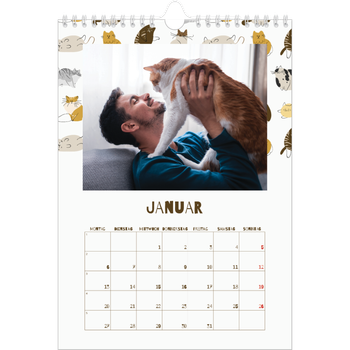 Fotokalender A4 — Verspieltes Kätzchen