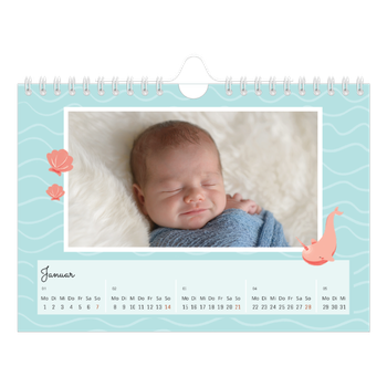 Fotokalender A5 — Süße Tiere