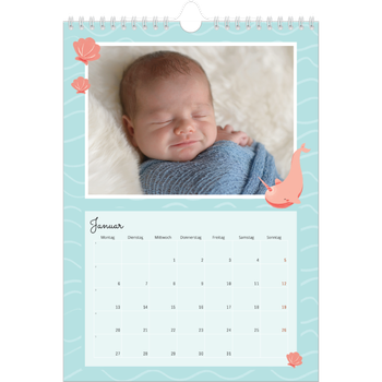 Fotokalender A4 — Süße Tiere