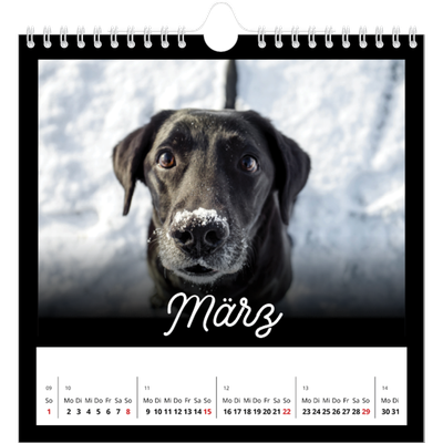 Jahreskalender Quadratisch — Schwarzes [Marsch]