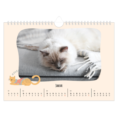 Fotokalender A4 — Katzenpfoten und Kritzeleien [Januar]