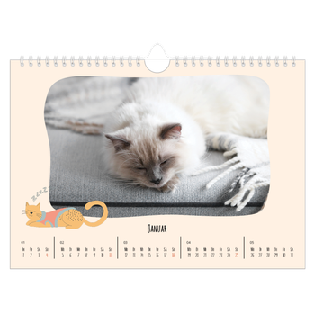 Fotokalender A4 — Katzenpfoten und Kritzeleien