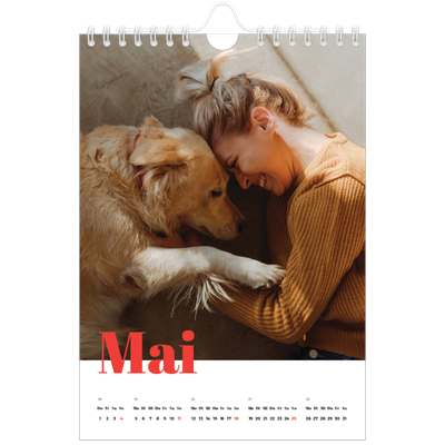 Fotokalender A5 — Kräftige Farben [deckblatt]