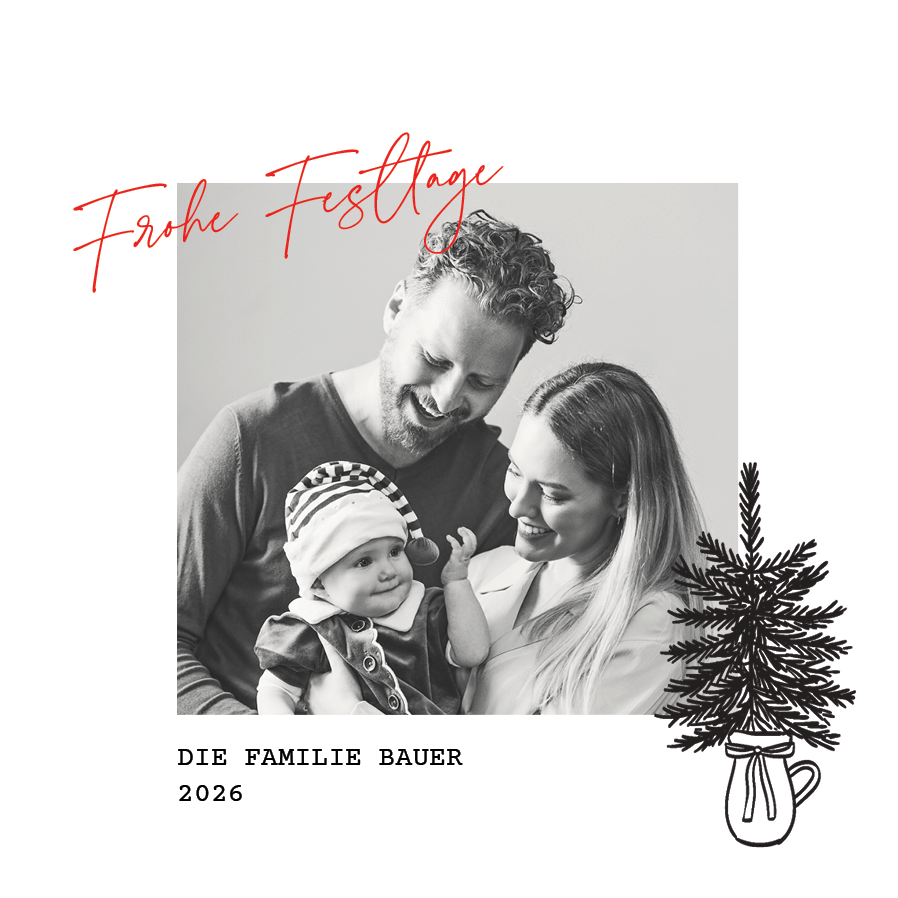 Fotokarten — Tannenzapfen auf Winterweiß