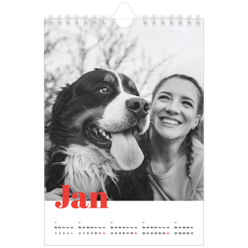 Fotokalender A5 — Kräftige Farben